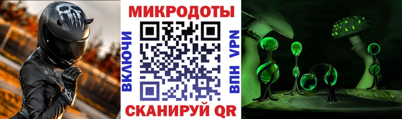 Псилоцибиновые грибы Psilocybine cubensis  Порхов 